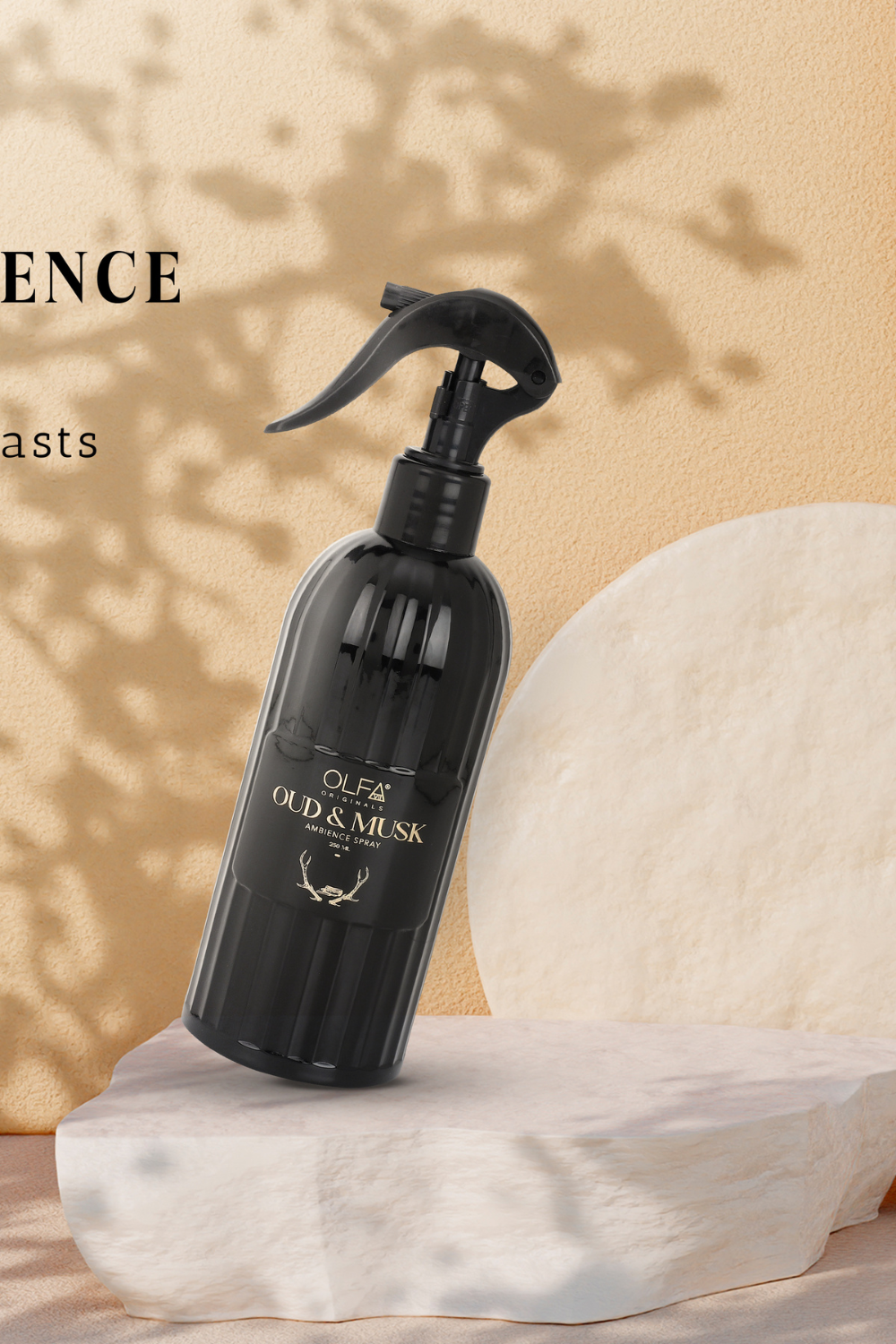 Oud and Musk Ambience Spray